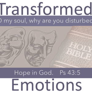 Transformed Emotions
